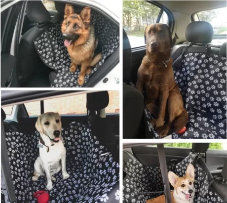 ????????????????????????????????????? ????????????? ???????????????????? ???????????/ Car Back Seat Cover For Pet-GAO