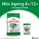Royal Canin Mini Adult 8+ อาหารสุนัขสูงวัย พันธุ์เล็ก