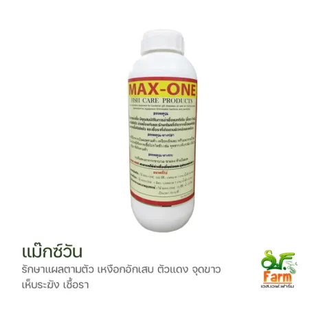 ????????? (Max One) 1 ???? ?????????????????????? ????????????????? ?? ???????????? ????????? ?????? ?????? ??????????? ???????????