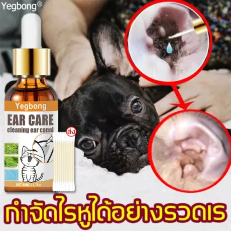 ???1??? ???????????????????? Yegbong????????????? ????????????????? ?????? ??????? ????????????????????? ?????????????? ???????????????? ?????????????? ????????????? ???????????????? ???????????????????????????? ??????????? ????????????? ??????????????