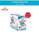 Royal Canin Mini Puppy Pouch Gravy อาหารเปียกลูกสุนัข พันธุ์เล็ก อายุ 2-10 เดือน [ยกกล่อง 12 ซอง]