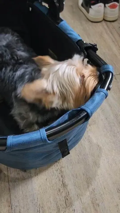 ?????????????????????????? ?????????