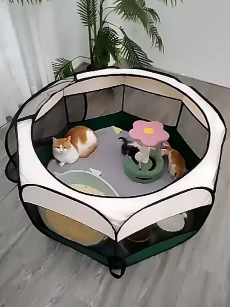 Pet cage pet folding dog cat eight Henan Lee Cedar STALL STALL STALL tent mattress dog Puppy Cat portable convenient cage cat foldable