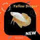 ปลากัดเยลโล่ดราก้อน ปลากัดสวยงาม Yellow dragon เพศผู้ มีประกันสินค้า