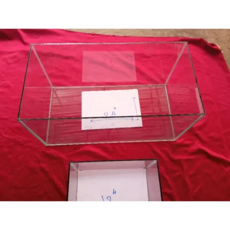 ??????24???? ???5??????? ???????????????????