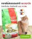 CAT BEST Oko Plus ?????????????????? ??????????????? (???) 1x40 ???? 17.2kg (Litre)