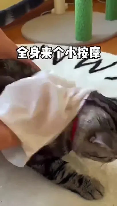 ??????????EGG ??????????????????????????????? ????????????????? ???????? ?????????????????? ????????????????????????? ??????????????