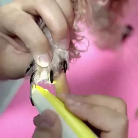 ??????????????????????????? ???????????????? ???????????????????? ??????????/????????????? ???? LED ??????????? ?????????????? ???????? USB