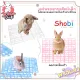 Shobi brand pet cage pads for use in cages. Protect your pet's feet from being hurt by the bars of the cage. Prevent rabbit foot inflammation