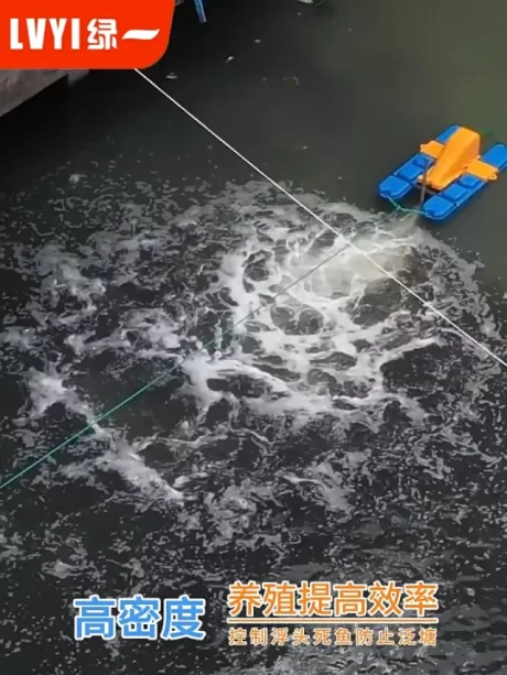 ???????????????? ??????? ?????? ?????? ??????? ???????????? ????? ????????? ???????? ?????????????????????????????????????