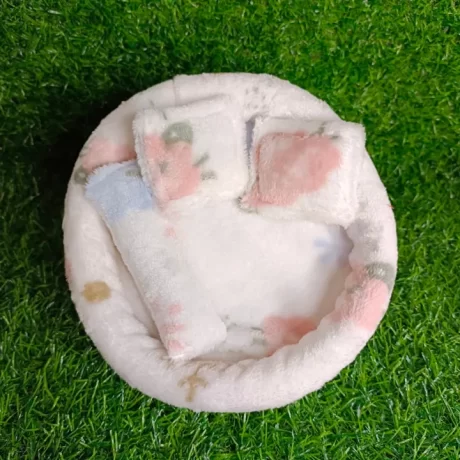 ???????????? ???????????? ????????????? ?????? ?????????? ????????? ????????? ?????????????????? ???? 7.5 ???? ???????UFO ??????? ??????? 4 ????