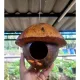 Kala House, Sugar House, Squirrel House, Bird House
