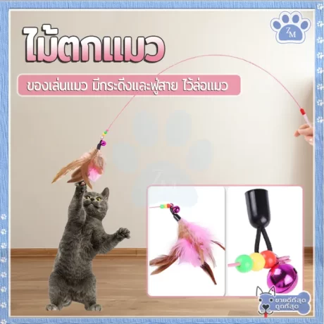 ???????? ?????????? ?????? 66 ??. ????????? ?????????? ?????????/ ?????? ????????? ?????? ?????? ????????????