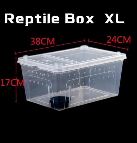 Reptile Box [XL] ???????????????????? ??????????????? ????????? ???????????????? ???????????????????? ?????? ????????? ????? ???????