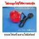 Light bulbs to keep small animals warm (tube + terminal + switch wire) red