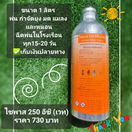 ?????250 ??.??.(???) ???? 1 ???? *??????????????*