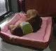 Dog and cat bed size 80*80cm and 50*50cm