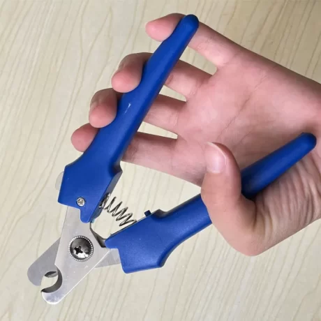 ??????????????? ??????????????? ???????????????????????? ????? ???