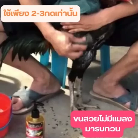 300ml Big bottle cock shower shampoo