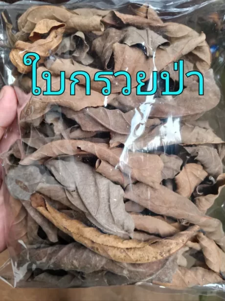 ????????????? ???????????????? ?????? ?????????? ????????? ?????????? ????????? 1????? 50 ?? 59 ???