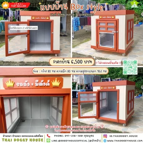 🏡??????? ??????? ??????????????? ??? BOX STYLE BY THAI DOGGY HOUSE🐱🐶