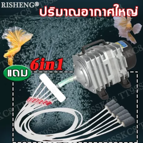 RISHENG ??????????? ACO ????????????????????????????(????????????? ????????????? ?????????????? ???????????? ?????????????? ?????????????? ?????????????? ???????????? ?????????????? ????????????)