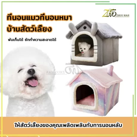 ??????????????? ????????? ????????? ??????????????/????????????????? ???????? ??????????/?????? ???????? ?????????????