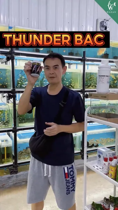 THUNDER BAC ???????? ????????????? ??????????????? ??????????? ????? ?????????? (20/50????)