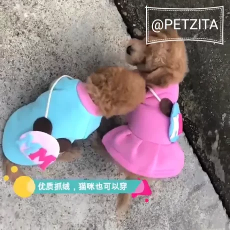 🇹🇭????????🇹🇭 ♀️♂️ ????????????? ??? MM ???????????????????????????????? FOR PET ?????????? ??? ??????