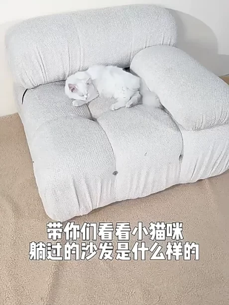 🧺RPS🧺Wool roller vacuum cleaner, cat hair brush easy to use, long life, keep dust, instant hair, no need to clean by hand, ready to ship.