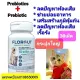 florgut??????????????????????????????????????????prebiotc+probiotic????????