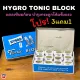 ????3???1HYGRO Tonic BLOCK ???????????? ???????? ?????????????????????????????
