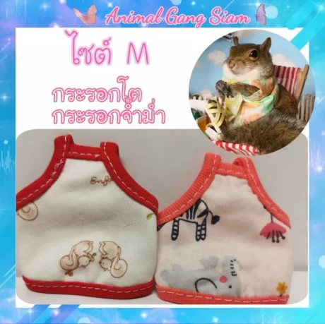 ??????????????????????? M