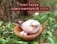 Bird's nest, straw nest, squirrel bed, sugar rider Made from natural materials Similar to a real bird's nest, available in 4 sizes