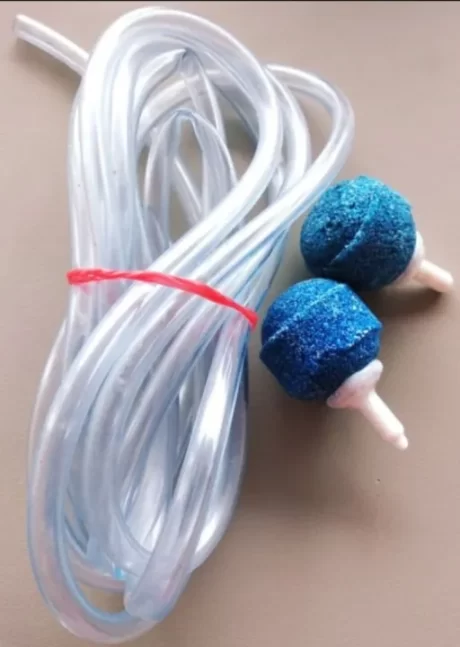 ??????????? 2???+??? 3?.***?????????????