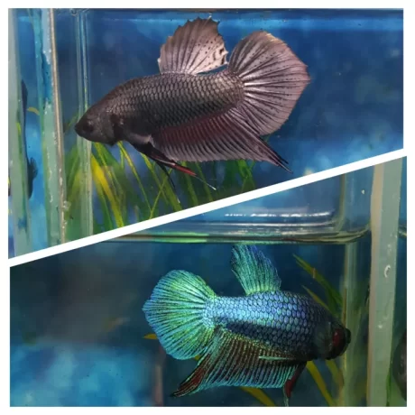 ?????????????????? ????4?????up ????? ??????? ??????????????????????????????????????? ????????????????? ????????????????????????????????????????????????