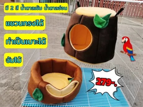 ??????????????????????????? ????????????????????????????