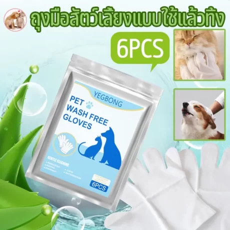 ?Loose???????????????????????????????? ???????? ?????????????????? ??????????????????????????????????????????????? 6pcs