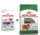 Royal Canin Mini Indoor Senior อาหารสุนัขสูงอายุ 7 ปีขึ้นไป สูตรสุนัขเลี้ยงในบ้าน 1.5 กิโลกรัม