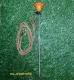 Chicken stakes..for chicken stand (there are 2 types, mixed..) cheap price with rope that can rotate in all directions.