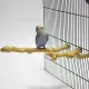 A-10 Wooden perch from jujube trees naturally curved No chemical additives Make parrots healthy, bird perches, claw perches, cage-mounted perches, 2-2.5 cm thick.