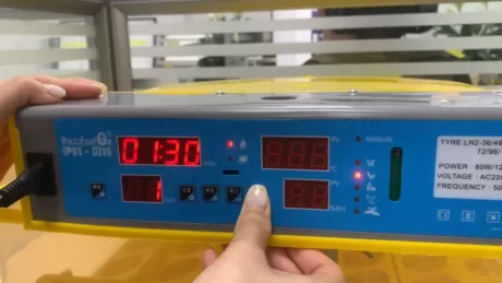 ??? ????????????? 56 ??? ?????????????????? ????????? ?????????? ???????????????? ???? ?? ??????? ???????? ????????????? ??????????