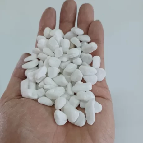 ????????????????? ?????? ???????????? ???????? ?????????? ???????? ???????????? ???????????????