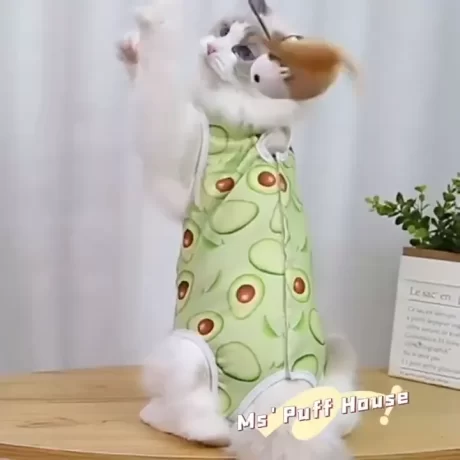 ??????????????? ????????????? ???????????????? ??????? ??????????????????? ???????????????????????(????????)