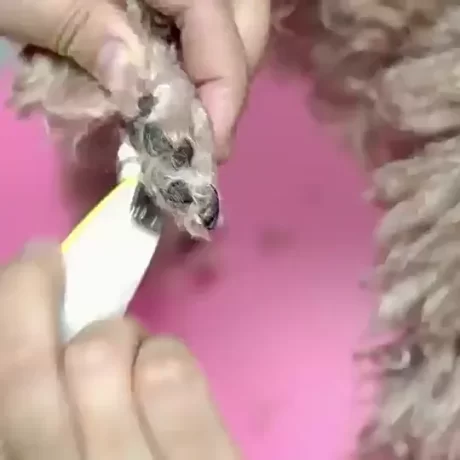 ???????????????????? ???????????????? ????????????? ????????????? ????????????????? ???????????????? ??????????? ????????????