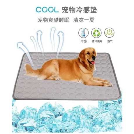 ???????????????????🐶🐱????????????????????????????????????? ???????????? ????????????