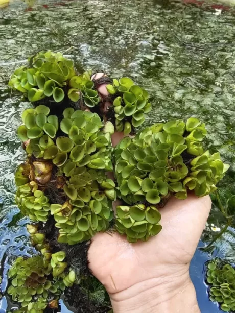 ?????????????/????????/????????? 8??50??? ????????????