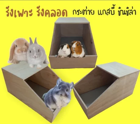 ??????? ??????? ??????? ??????? ?????? ????????(????????????)