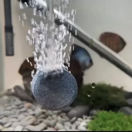 4cm/6cm/8cm/10cm Air Bubble Stone