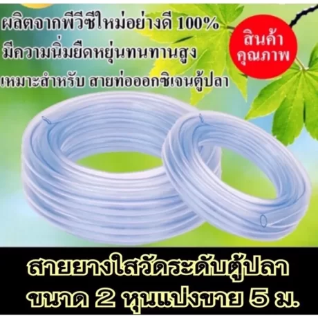 ???????? 1/4 ????( 2 ???) 5 ?.???????? ?????????????? ????????????????????